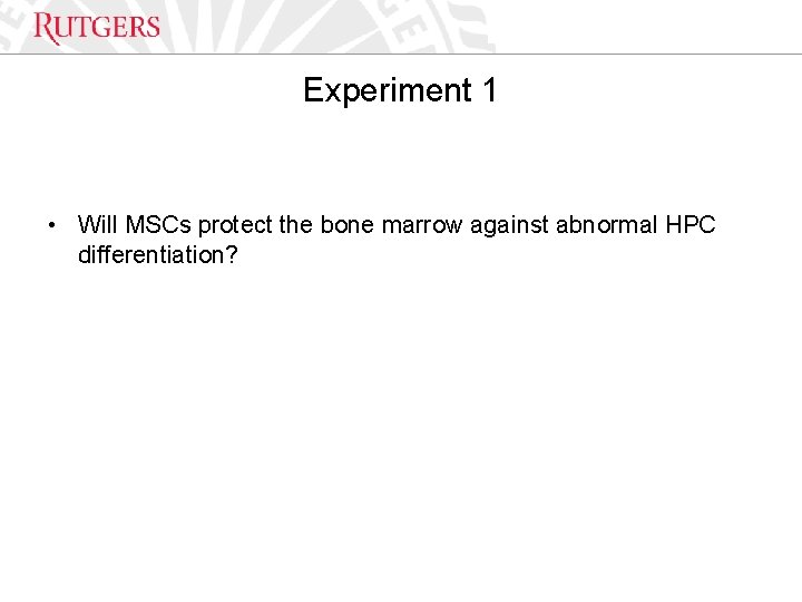 Optional Presentation Title Experiment 1 • Will MSCs protect the bone marrow against abnormal