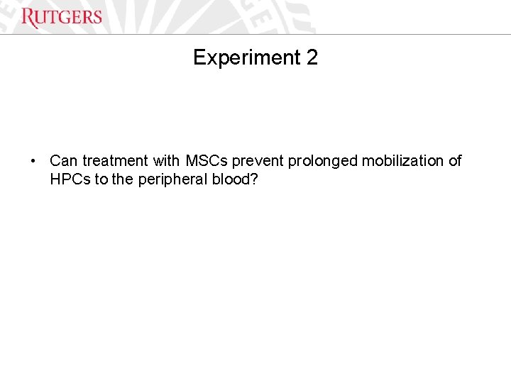 Optional Presentation Title Experiment 2 • Can treatment with MSCs prevent prolonged mobilization of