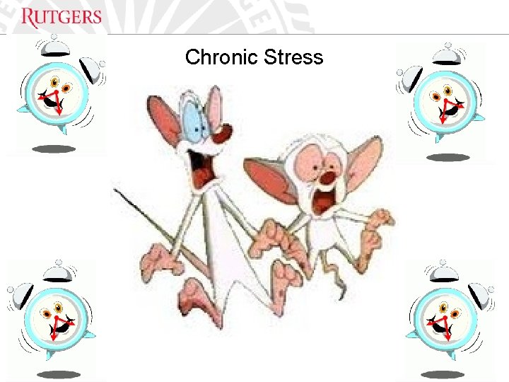 Optional Presentation Title Chronic Stress Unit Name 