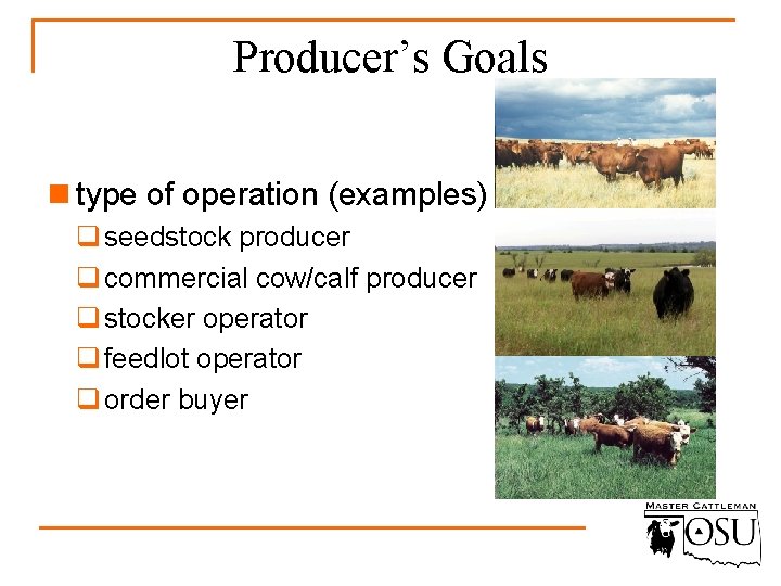 Producer’s Goals n type of operation (examples) q seedstock producer q commercial cow/calf producer