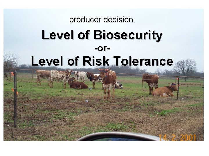 producer decision: Level of Biosecurity -or- Level of Risk Tolerance 