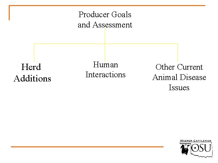 Producer Goals and Assessment Herd Additions Human Interactions Other Current Animal Disease Issues 