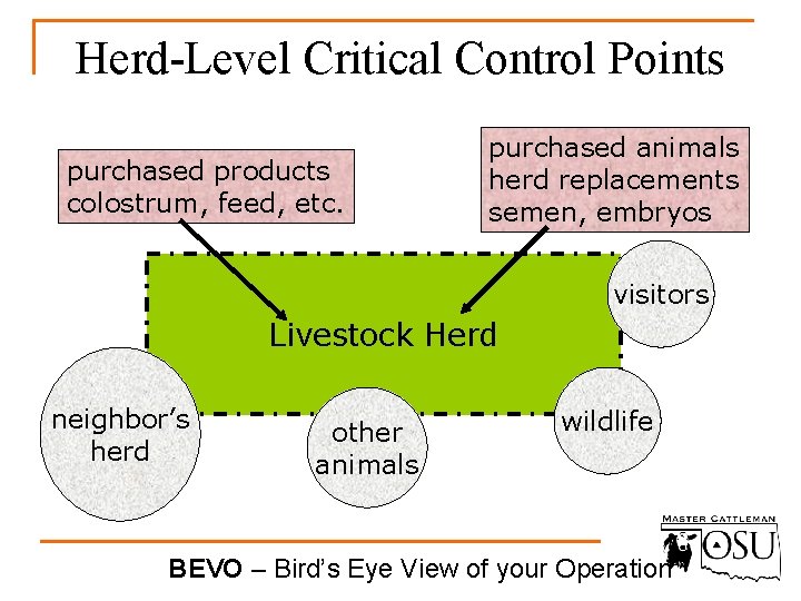 Herd-Level Critical Control Points purchased products colostrum, feed, etc. purchased animals herd replacements semen,