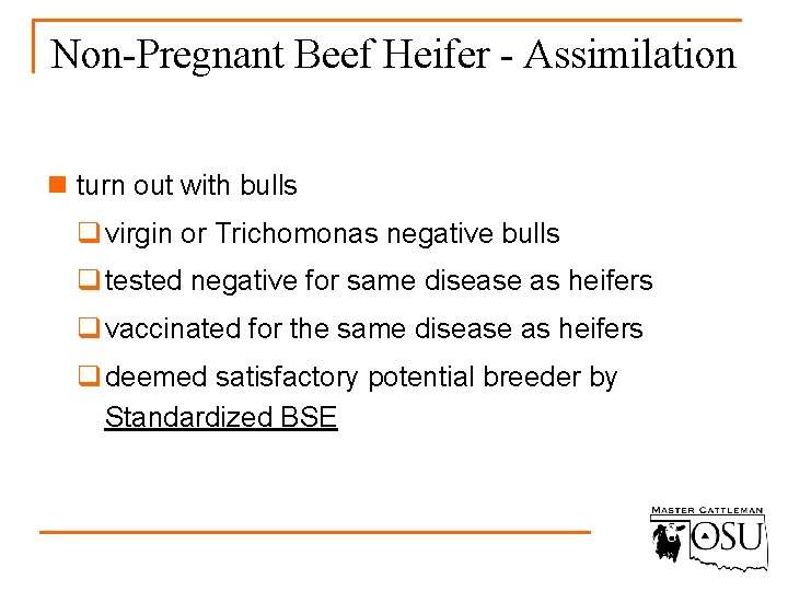 Non-Pregnant Beef Heifer - Assimilation n turn out with bulls q virgin or Trichomonas