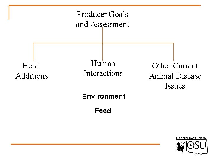 Producer Goals and Assessment Herd Additions Human Interactions Environment Feed Other Current Animal Disease