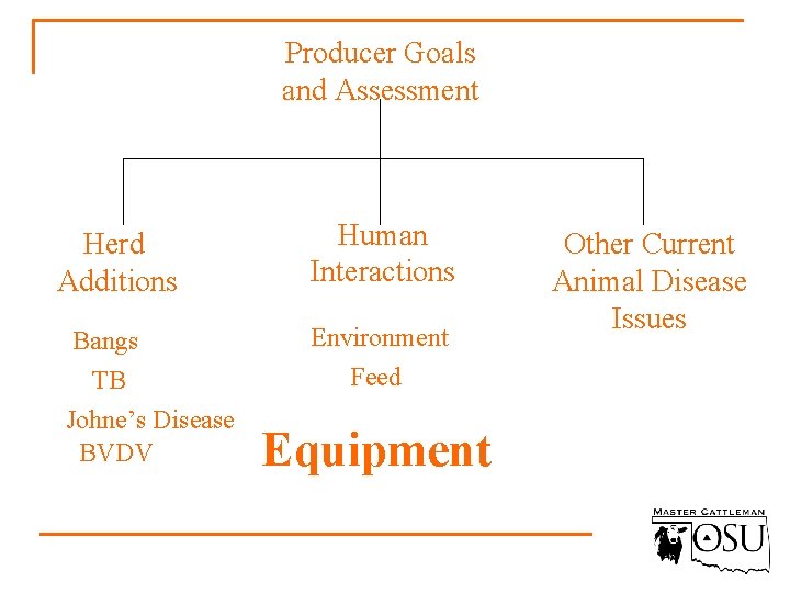 Producer Goals and Assessment Herd Additions Bangs TB Johne’s Disease BVDV Human Interactions Environment