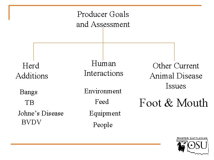 Producer Goals and Assessment Herd Additions Bangs TB Johne’s Disease BVDV Human Interactions Environment