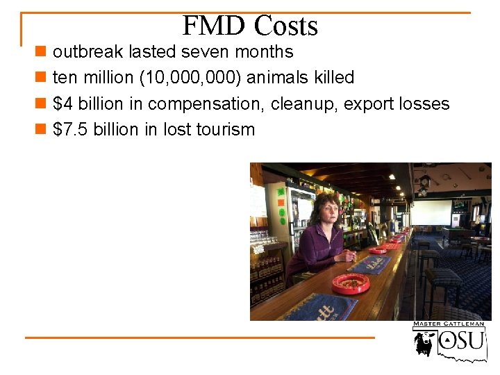 FMD Costs n outbreak lasted seven months n ten million (10, 000) animals killed