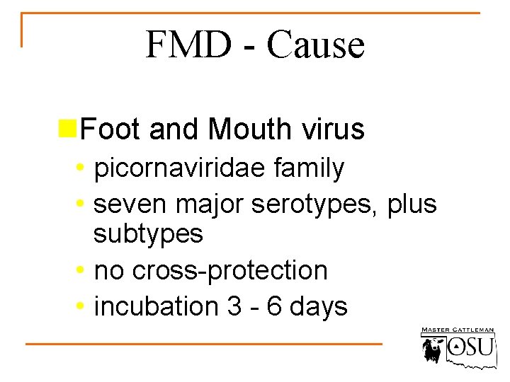 FMD - Cause n. Foot and Mouth virus • picornaviridae family • seven major