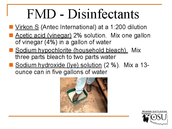 FMD - Disinfectants n Virkon S (Antec International) at a 1: 200 dilution n