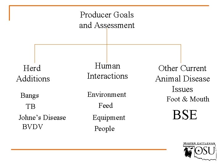 Producer Goals and Assessment Herd Additions Bangs TB Johne’s Disease BVDV Human Interactions Environment