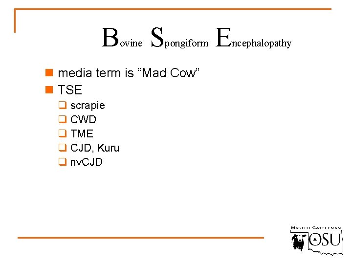 B ovine S pongiform n media term is “Mad Cow” n TSE q scrapie