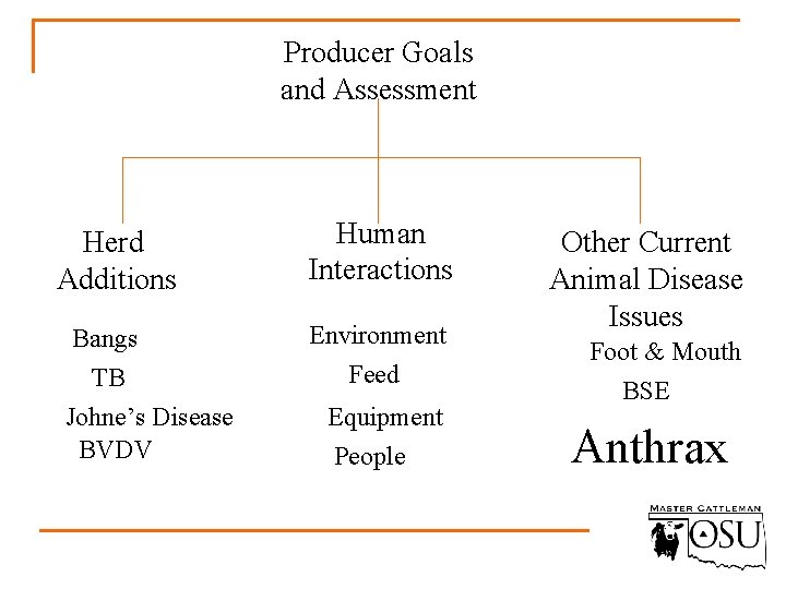 Producer Goals and Assessment Herd Additions Bangs TB Johne’s Disease BVDV Human Interactions Environment