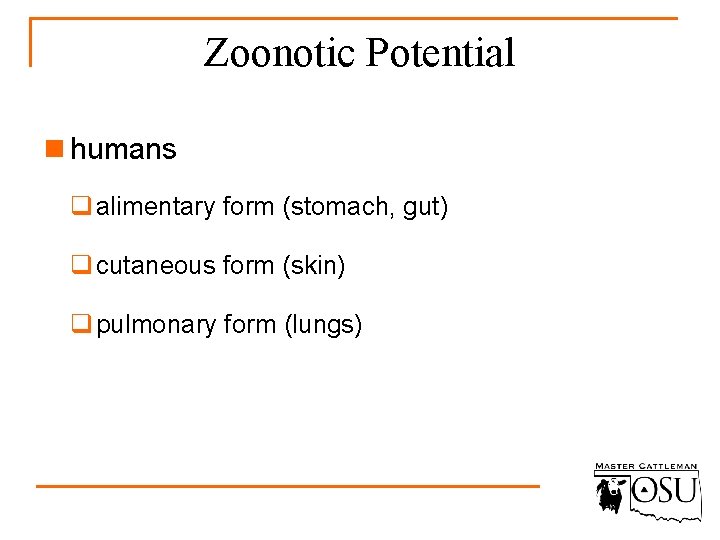 Zoonotic Potential n humans q alimentary form (stomach, gut) q cutaneous form (skin) q