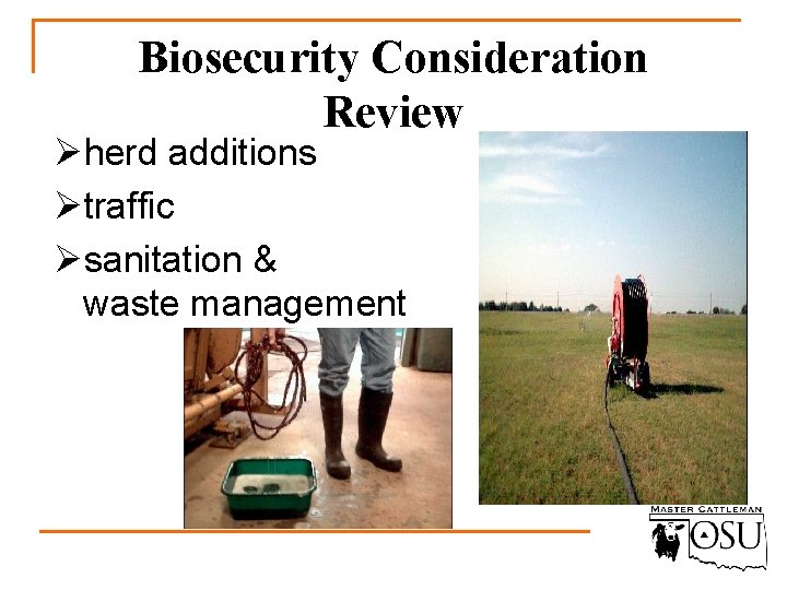 Biosecurity Consideration Review Øherd additions Øtraffic Øsanitation & waste management 