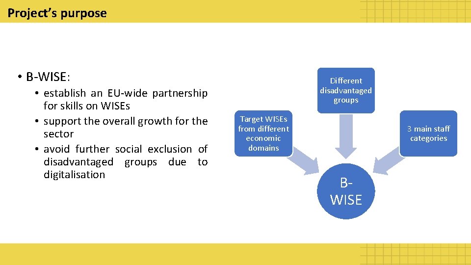 Project’s purpose • B-WISE: • establish an EU-wide partnership for skills on WISEs •