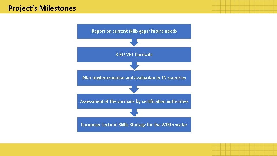 Project’s Milestones Report on current skills gaps/ future needs 3 EU VET Curricula Pilot