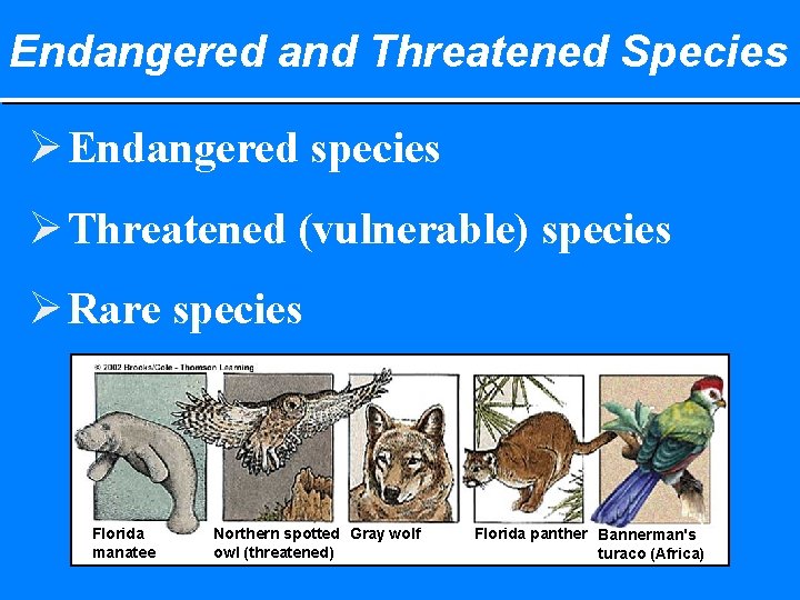 Endangered and Threatened Species Ø Endangered species Ø Threatened (vulnerable) species Ø Rare species