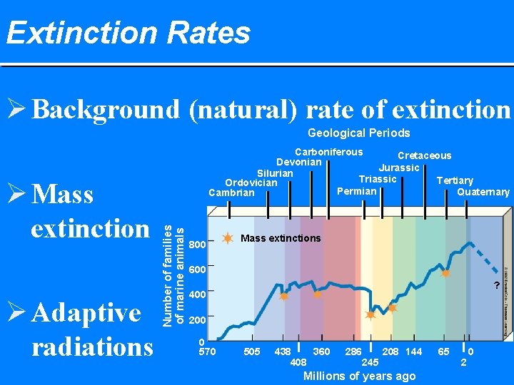 Extinction Rates Ø Background (natural) rate of extinction Geological Periods Ø Adaptive radiations Number