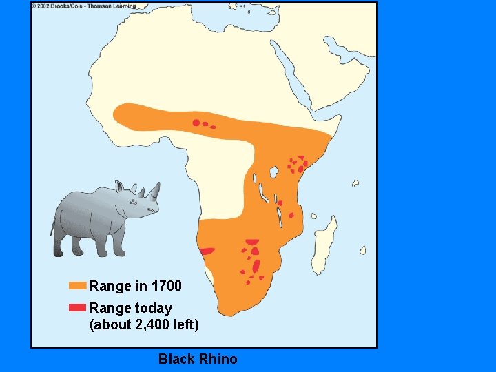 Range in 1700 Range today (about 2, 400 left) Black Rhino 
