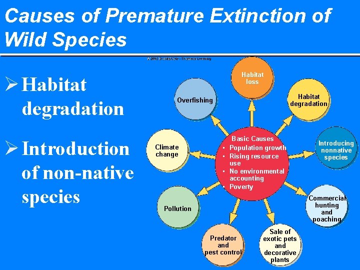 Causes of Premature Extinction of Wild Species Ø Habitat degradation Ø Introduction of non-native