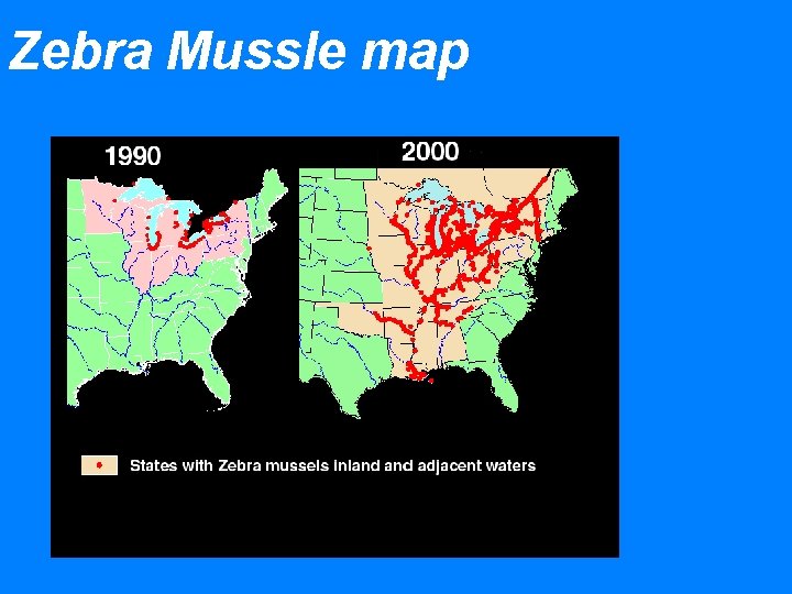 Zebra Mussle map 