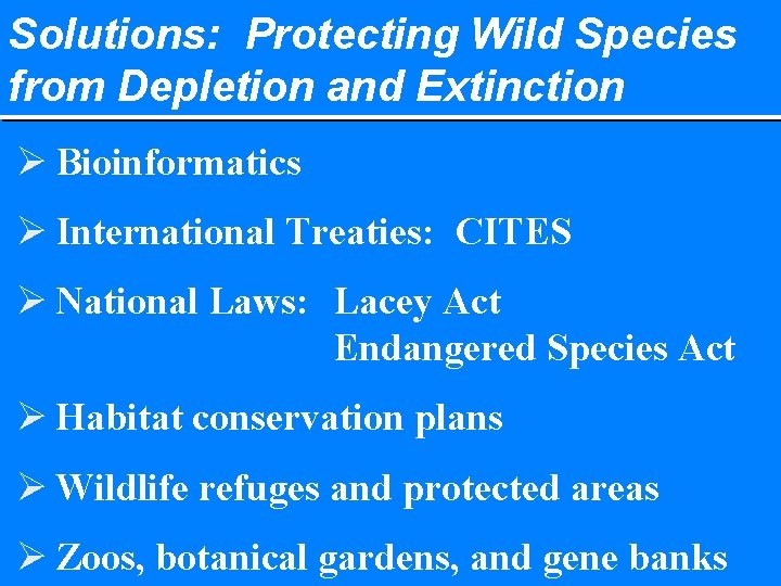 Solutions: Protecting Wild Species from Depletion and Extinction Ø Bioinformatics Ø International Treaties: CITES