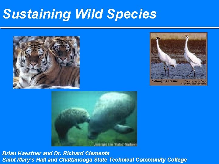 Sustaining Wild Species Brian Kaestner and Dr. Richard Clements Saint Mary’s Hall and Chattanooga