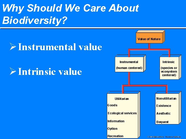 Why Should We Care About Biodiversity? Value of Nature Ø Instrumental value Ø Intrinsic