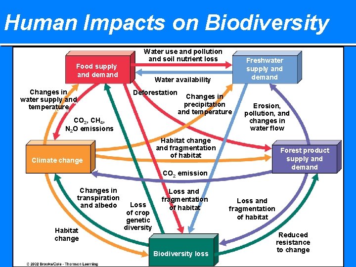 Human Impacts on Biodiversity Food supply and demand Changes in water supply and temperature