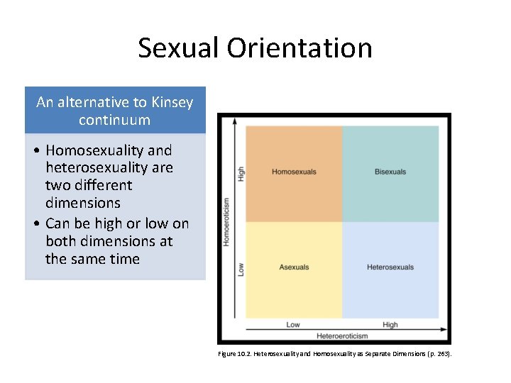 Sexual Orientation An alternative to Kinsey continuum • Homosexuality and heterosexuality are two different