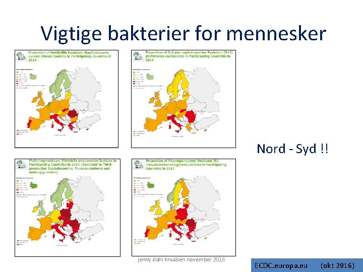 Vigtige bakterier for mennesker Nord - Syd !! jenny dahl knudsen november 2016 ECDC.