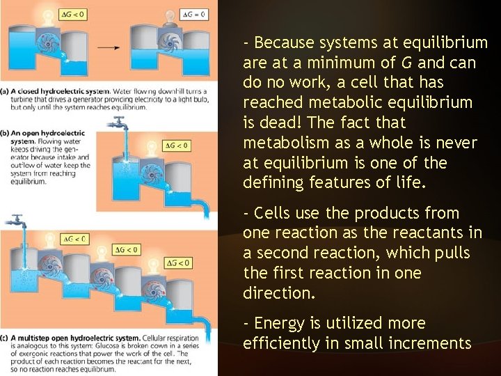 - Because systems at equilibrium are at a minimum of G and can do