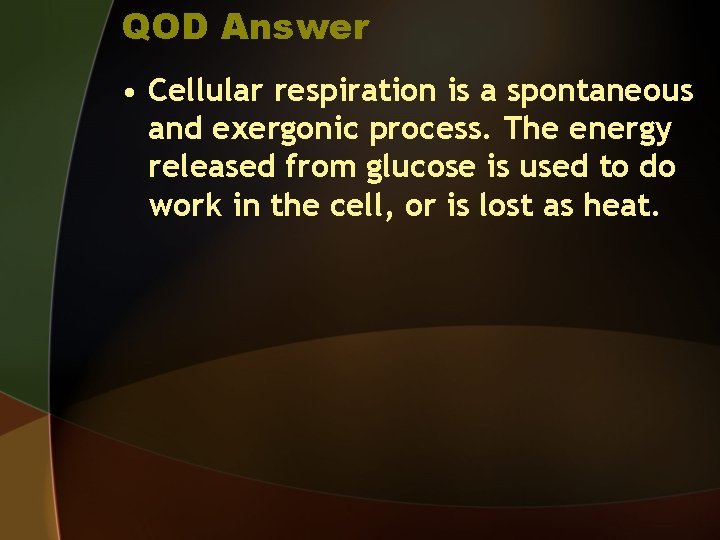 QOD Answer • Cellular respiration is a spontaneous and exergonic process. The energy released