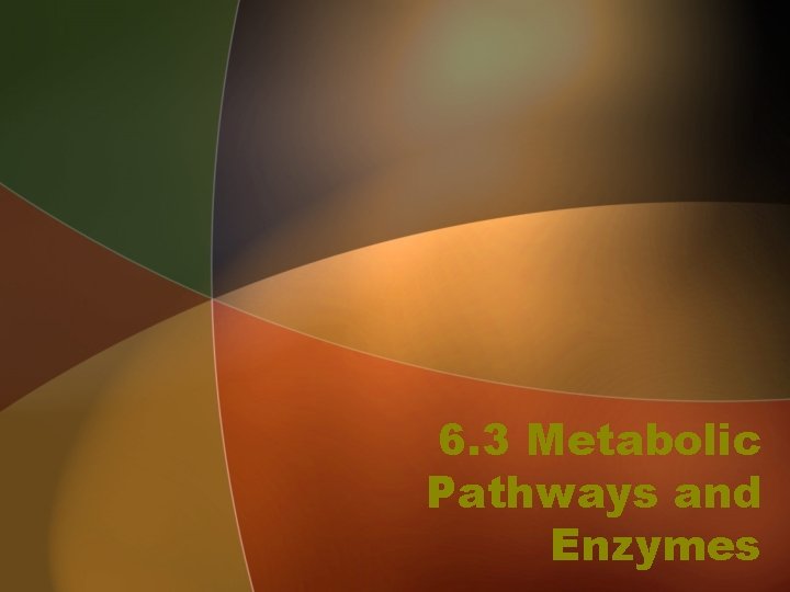 6. 3 Metabolic Pathways and Enzymes 