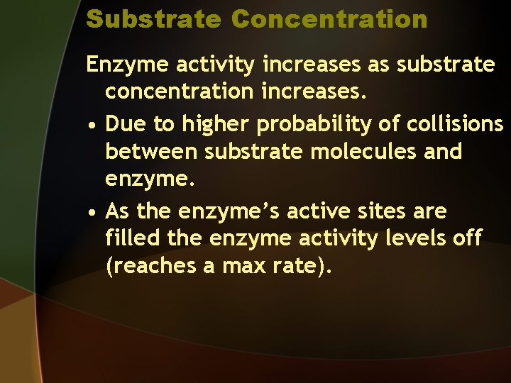 Substrate Concentration Enzyme activity increases as substrate concentration increases. • Due to higher probability