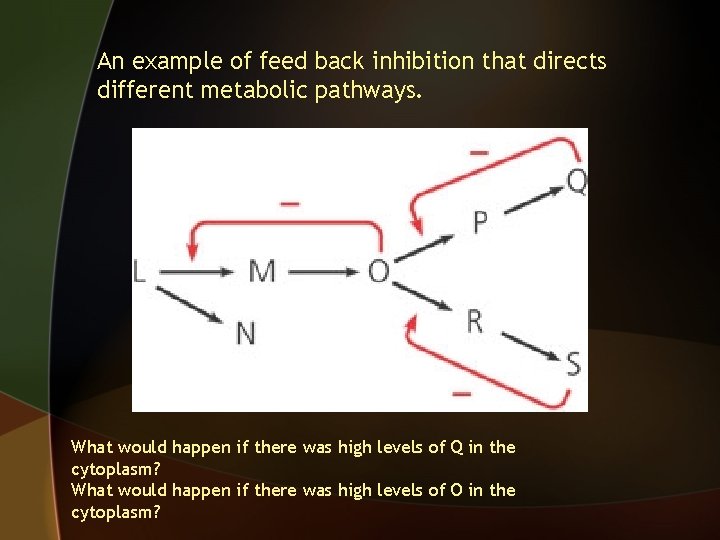 An example of feed back inhibition that directs different metabolic pathways. What would happen