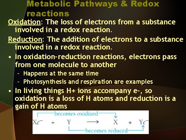 Metabolic Pathways & Redox reactions Oxidation: The loss of electrons from a substance involved