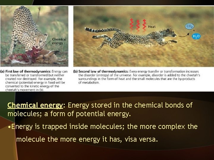 Chemical energy: Energy stored in the chemical bonds of molecules; a form of potential