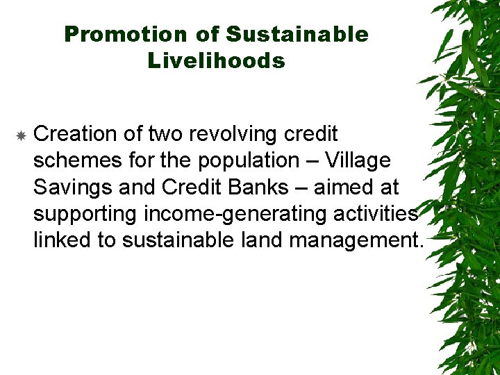 Promotion of Sustainable Livelihoods Creation of two revolving credit schemes for the population –