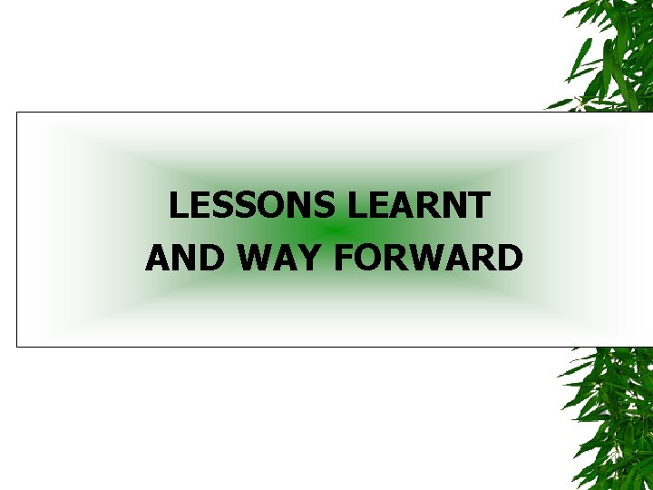 LESSONS LEARNT AND WAY FORWARD 