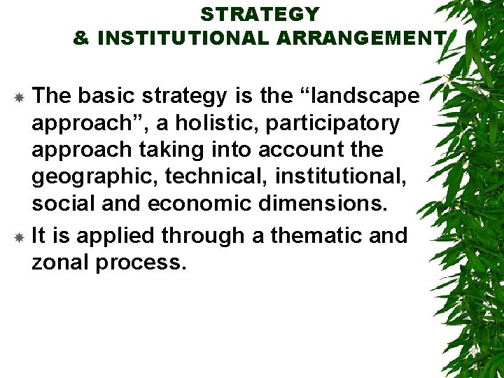 STRATEGY & INSTITUTIONAL ARRANGEMENT The basic strategy is the “landscape approach”, a holistic, participatory