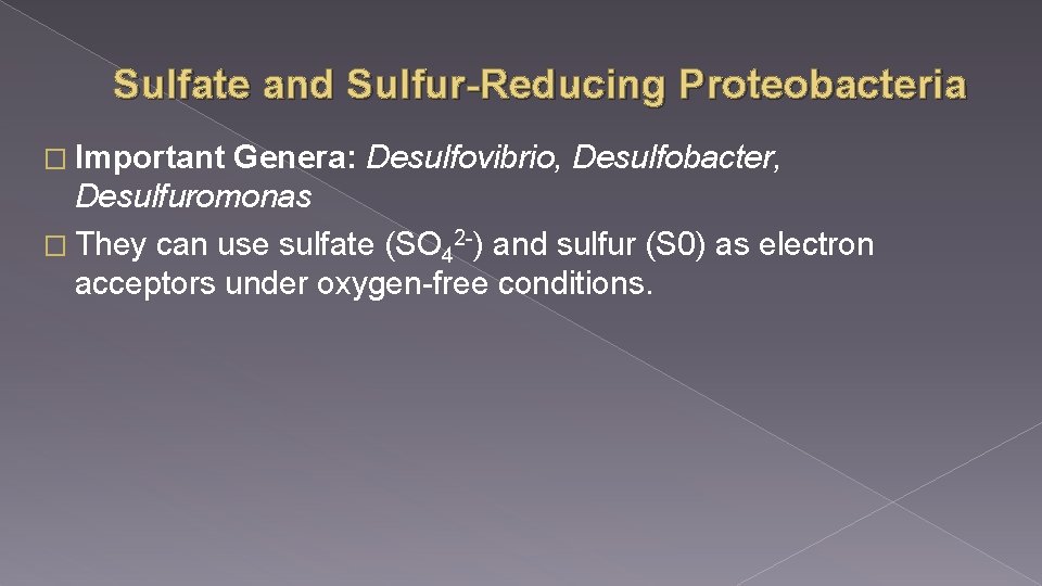 Sulfate and Sulfur-Reducing Proteobacteria � Important Genera: Desulfovibrio, Desulfobacter, Desulfuromonas � They can use