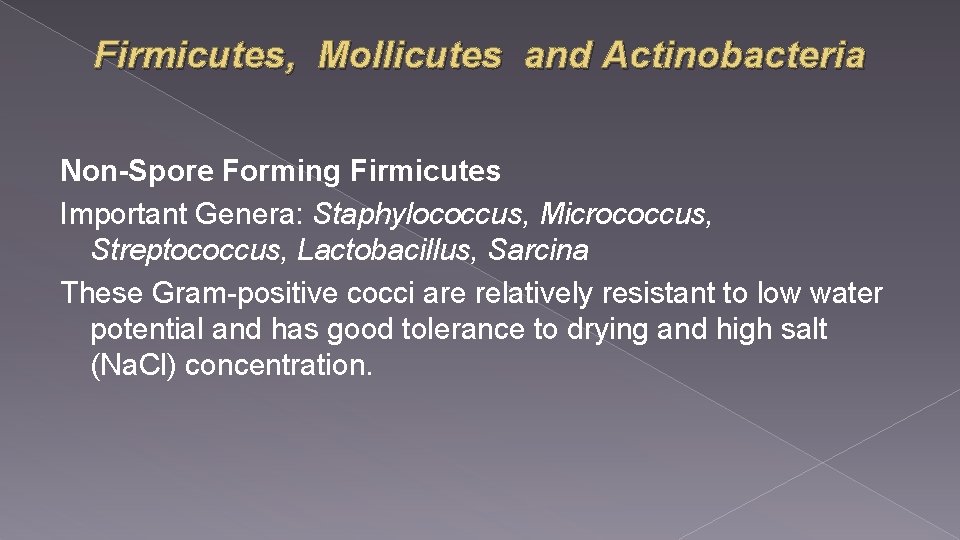 Firmicutes, Mollicutes and Actinobacteria Non-Spore Forming Firmicutes Important Genera: Staphylococcus, Micrococcus, Streptococcus, Lactobacillus, Sarcina