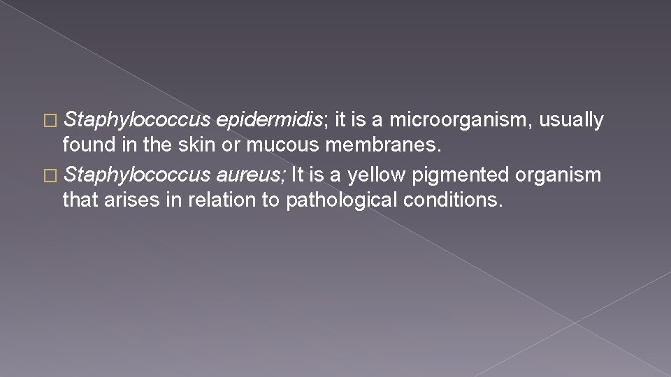 � Staphylococcus epidermidis; it is a microorganism, usually found in the skin or mucous