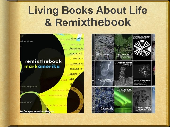 Living Books About Life & Remixthebook 