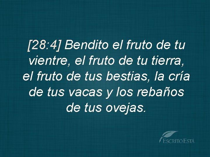 [28: 4] Bendito el fruto de tu vientre, el fruto de tu tierra, el