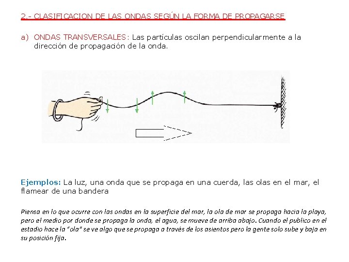 2. - CLASIFICACION DE LAS ONDAS SEGÚN LA FORMA DE PROPAGARSE a) ONDAS TRANSVERSALES: