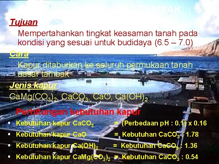 5. PENGAPURAN DASAR TAMBAK Tujuan Mempertahankan tingkat keasaman tanah pada kondisi yang sesuai untuk