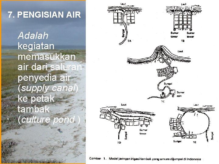 7. PENGISIAN AIR Adalah kegiatan memasukkan air dari saluran penyedia air (supply canal) ke